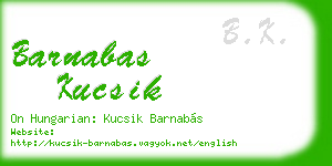 barnabas kucsik business card